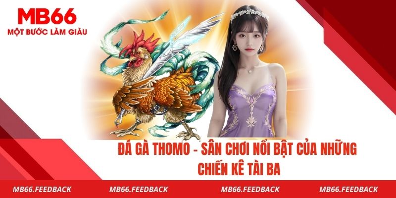 Đá Gà Thomo - Sân Chơi Nổi Bật Của Những Chiến Kê Tài Ba