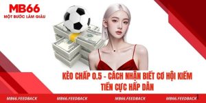 Kèo Chấp 0.5 - Cách Nhận Biết Cơ Hội Kiếm Tiền Cực Hấp Dẫn