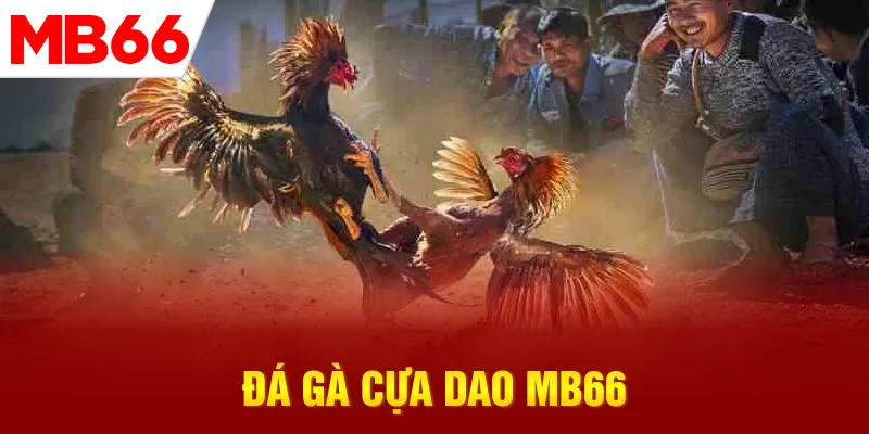 da-ga-cua-dao-mb66