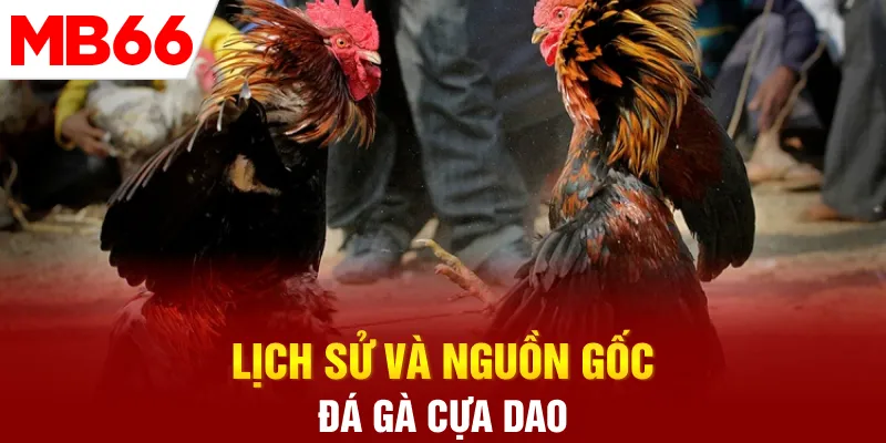 lich-su-va-nguon-goc-da-ga-cua-dao