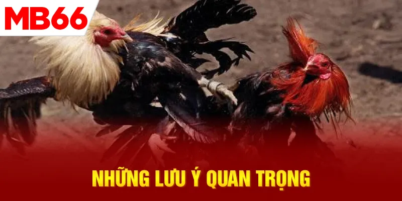 nhung-luu-y-quan-trong